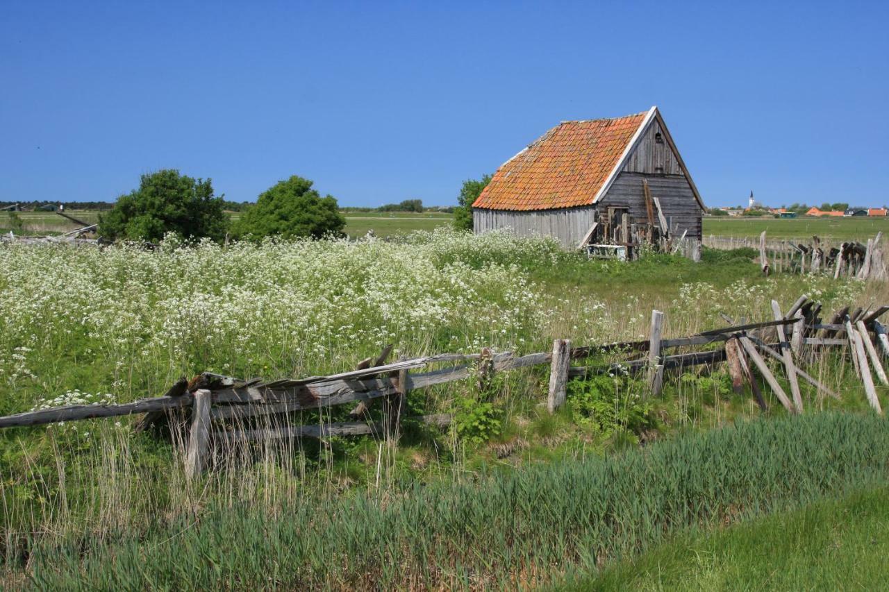 'T Lant Van Texsel De Koog  Luaran gambar